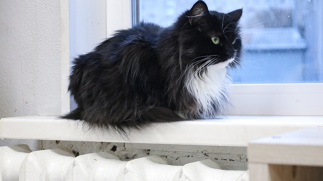 В Госдуме напомнили условия окончания отопительного сезона