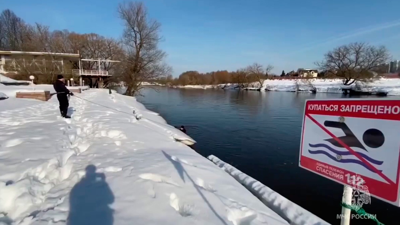 Спасатели нашли тело 13-летней школьницы, пропавшей в Звенигороде