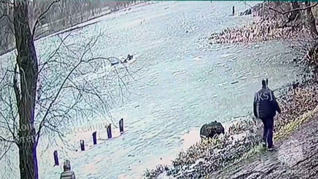 В Калининграде две девочки с собаками провалились под лед