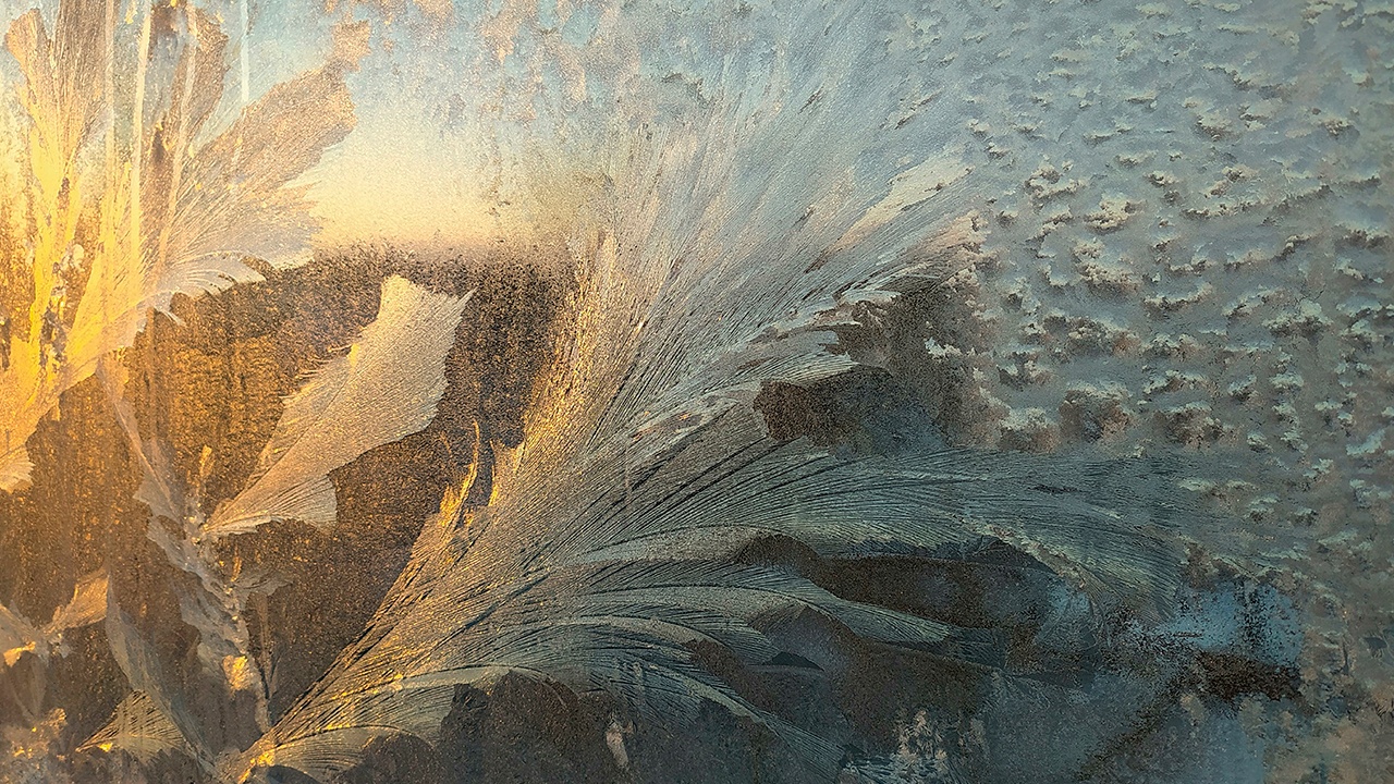 Этой ночью в Подмосковье ожидаются морозы до минус 7 градусов