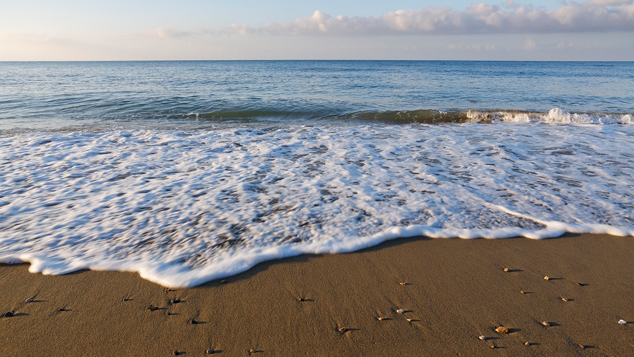 В Турции на берег Черного моря вынесло боеголовку ракеты 
