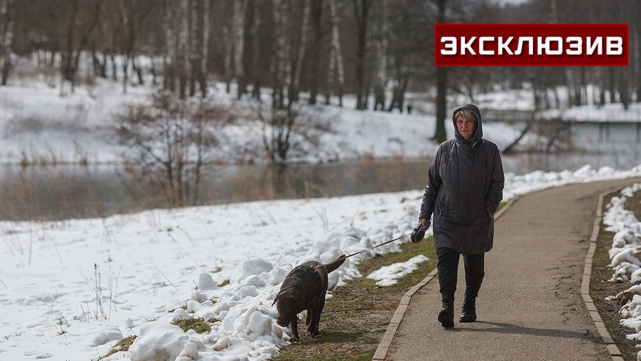 Ветеринар назвал топ средств для защиты собак и кошек от клещей