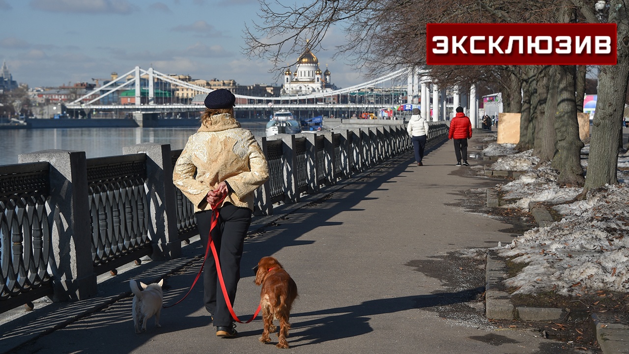 Синоптик рассказал о теплой и солнечной погоде на ближайшее время в Москве