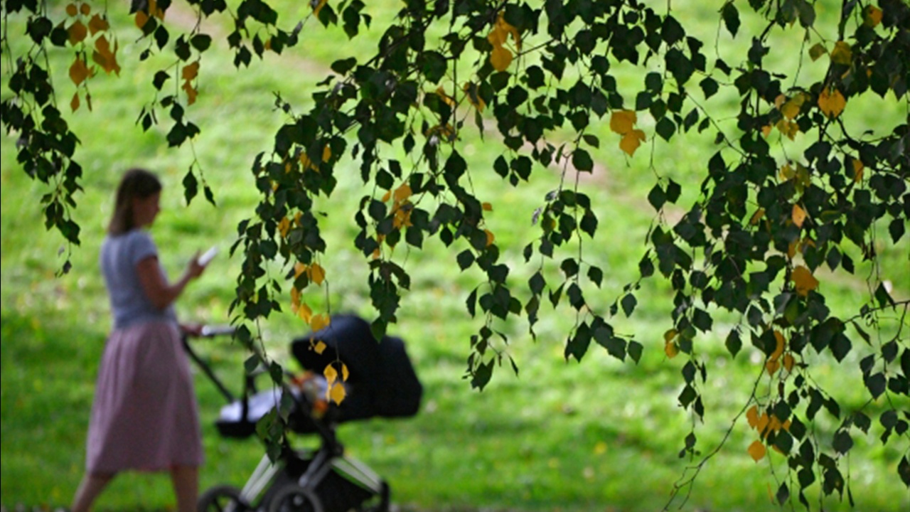 ГД приняла закон о запрете испытательного срока для мам с детьми до трех лет