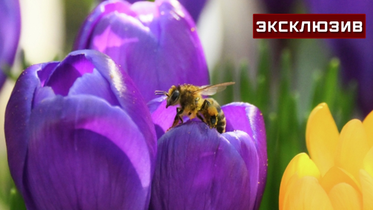 Метеоролог: уходящий март может войти в десятку самых теплых за всю историю