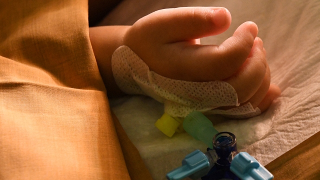 Красный Полумесяц: 214 иранских детей погибли из-за ударов США и Израиля