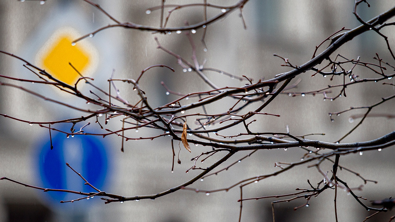 Погодные аномалии ожидаются в ряде регионов России