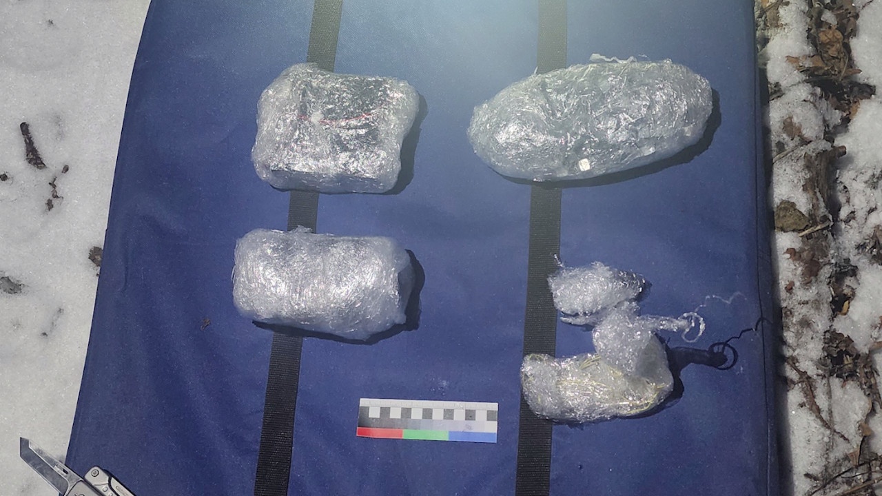 ФСБ пресекла теракт против высокопоставленного чиновника Курской области