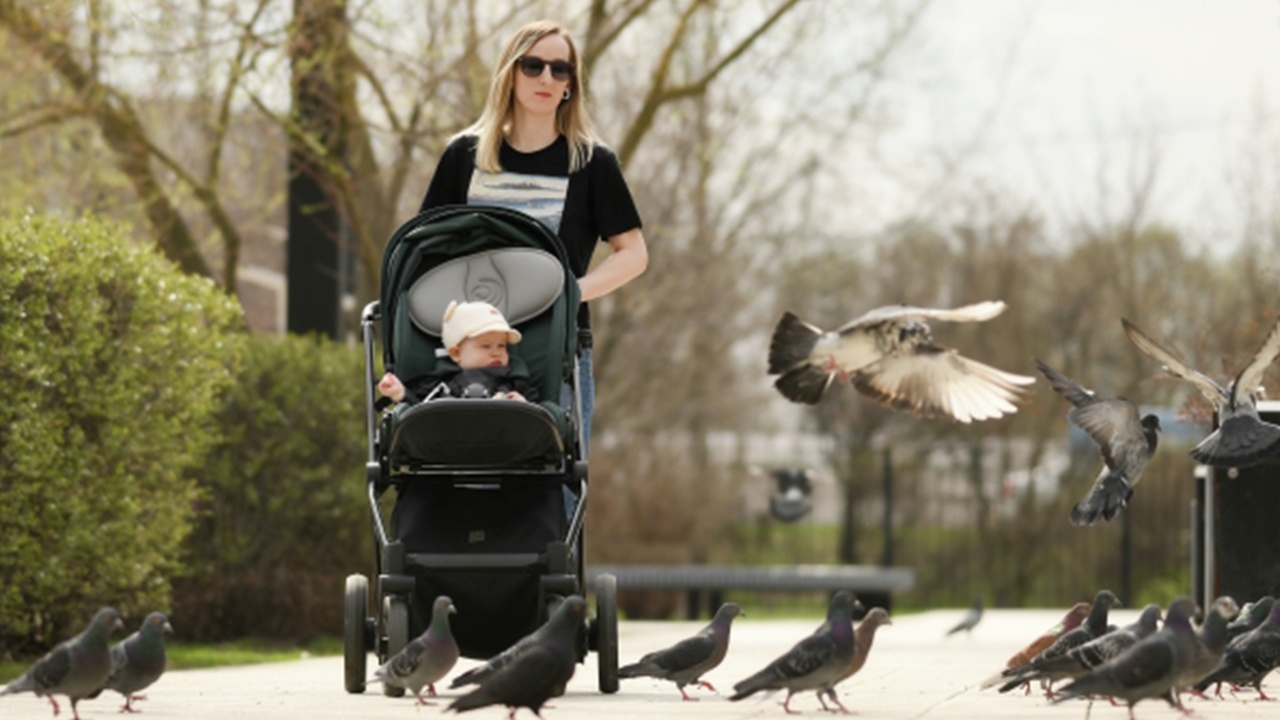 Более 70 общественных пространств благоустроят в Подмосковье в 2026 году