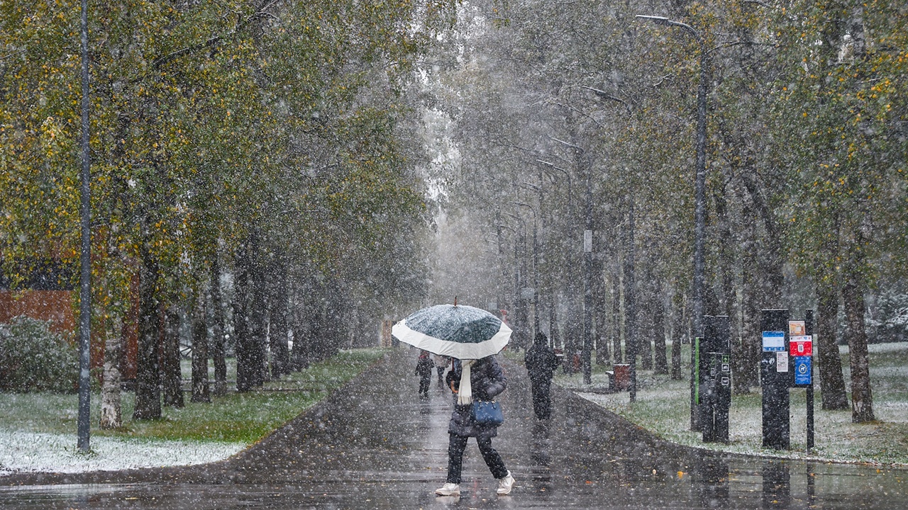 Подмосковье ждут мокрый снег и заморозки в середине недели