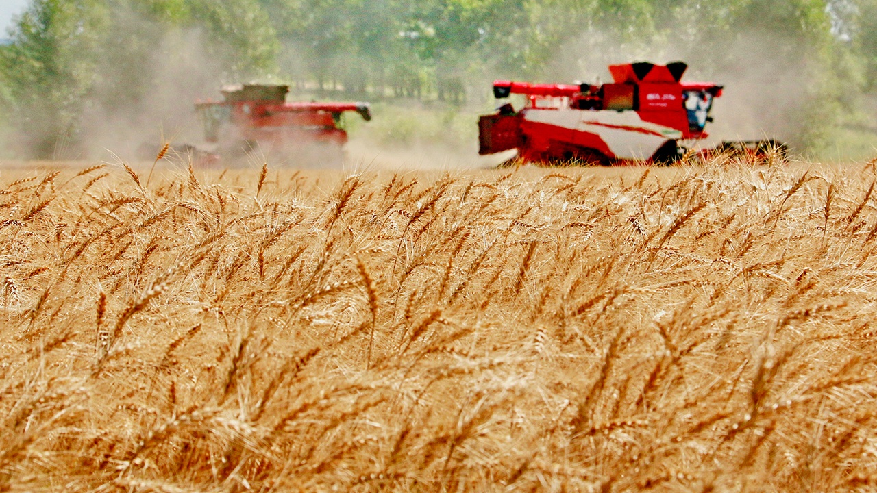  Россия обошла Польшу на выборах в совет ВПП ООН