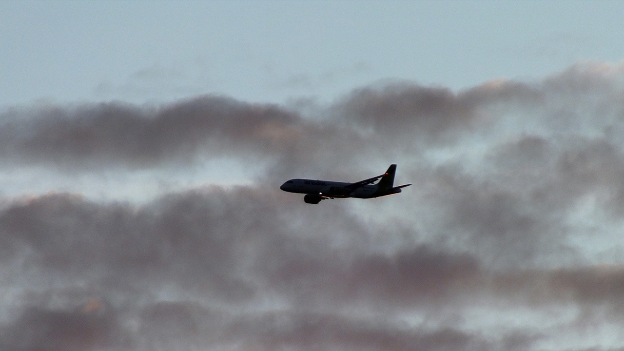 МИД: более 60 тысяч россиян вернулись в страну из ближневосточного региона