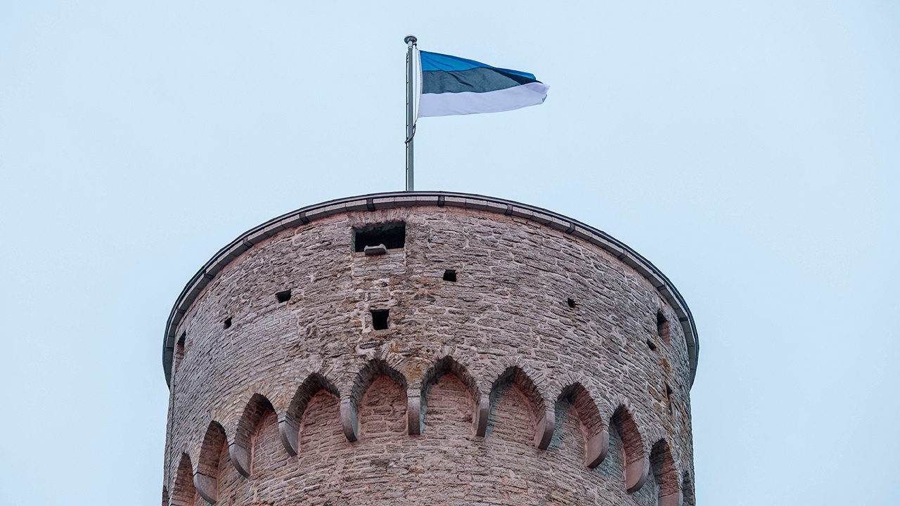 На севере Эстонии нашли обломки, вероятно, украинского дрона