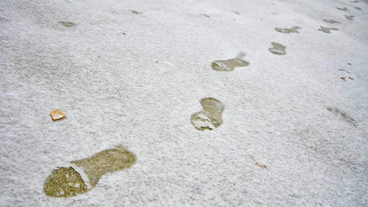 Снегопад обрушится на Москву в ближайший понедельник