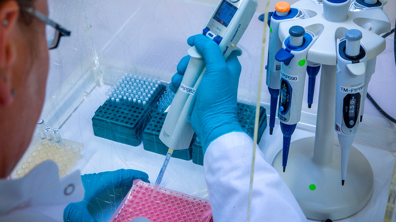 ВЦИОМ: более половины россиян поддержали ДНК-тестирование на отцовство