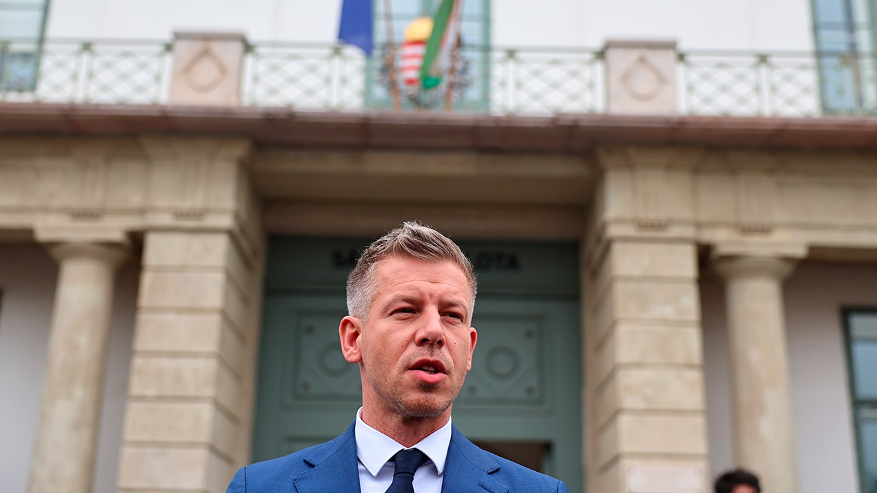 Politico: Мадьяр собрался укрепить связи Венгрии с Австрией ради влияния в ЕС