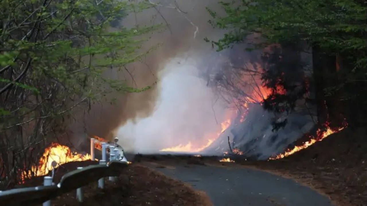 NHK: в Японии свыше 3 000 человек эвакуировали из-за лесных пожаров