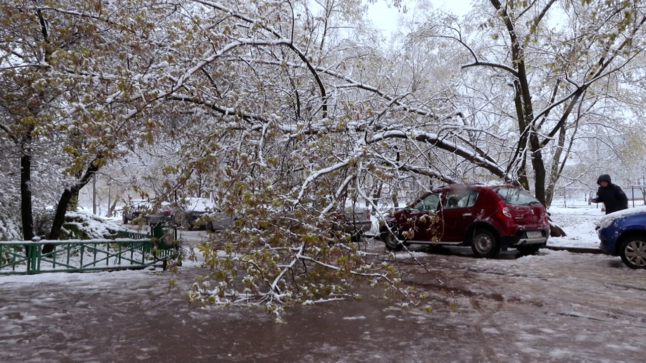 Апрельский снегопад: последствия мощного циклона в Москве и области