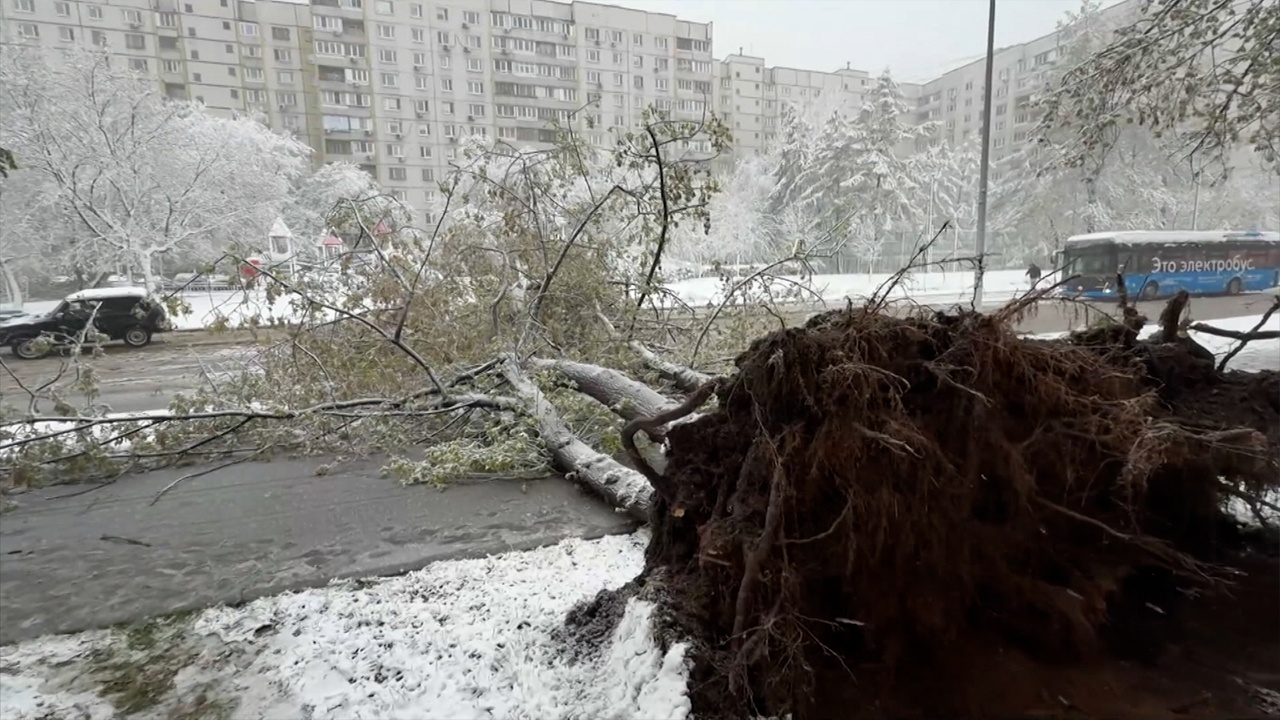 Московские власти предупредили о неблагоприятной погоде 28 апреля