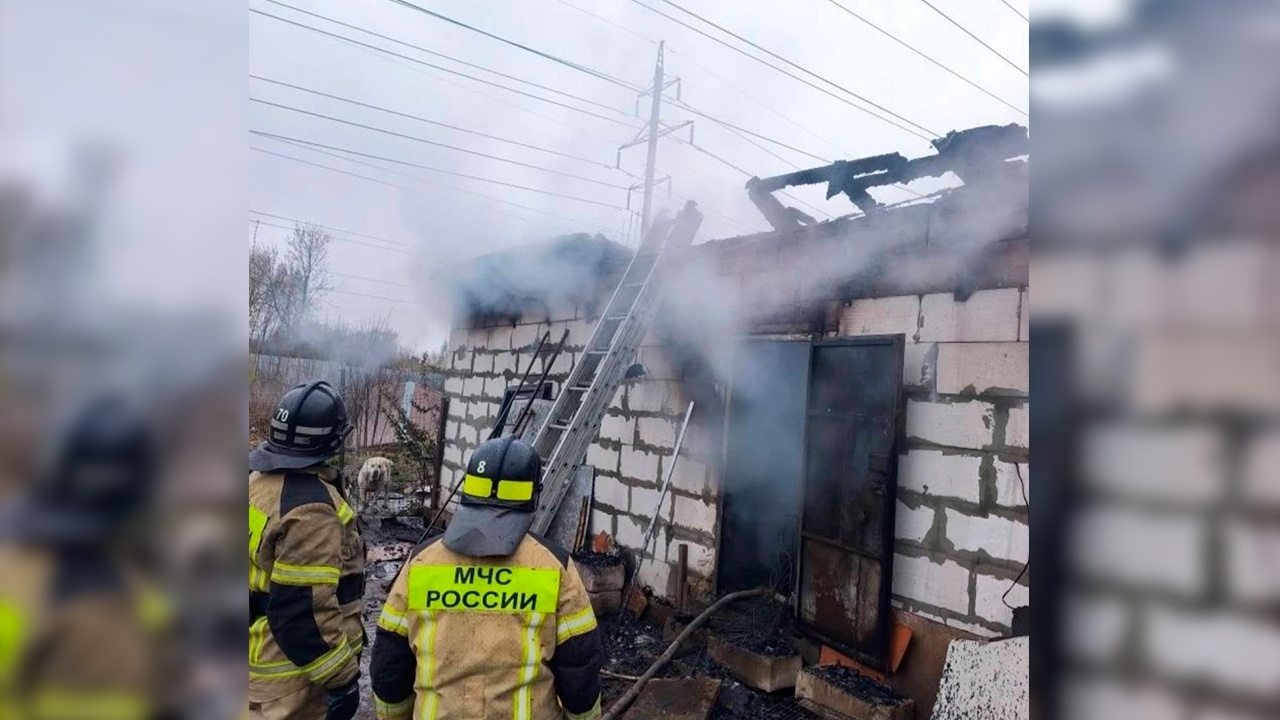 В Нижнем Новгороде 200 собак погибли при пожаре в постройке