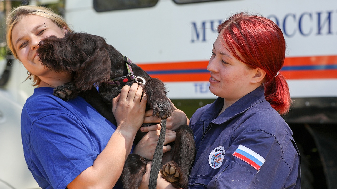В МЧС рассказали о новых рационах для служебных собак