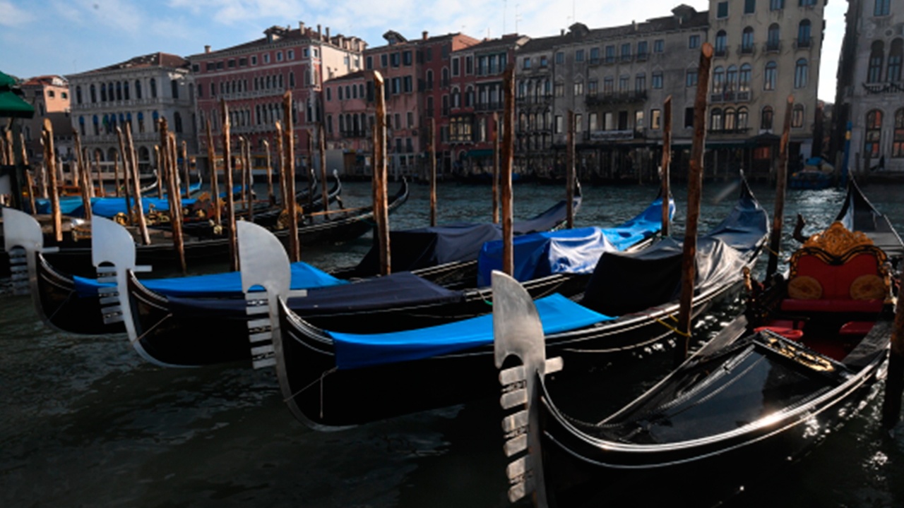 Жюри биеннале в Венеции подало в отставку в полном составе