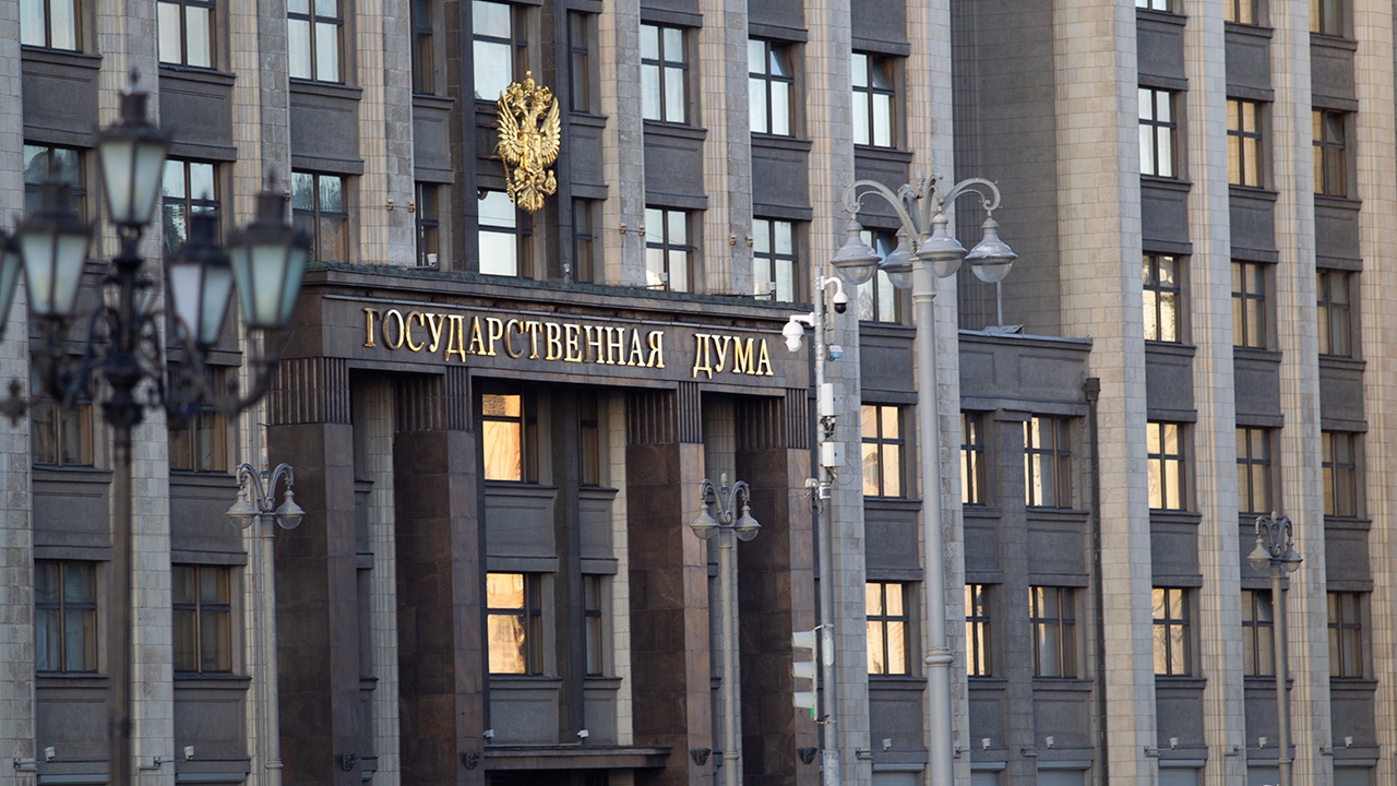 Дума приняла закон об использовании армии за рубежом для защиты россиян