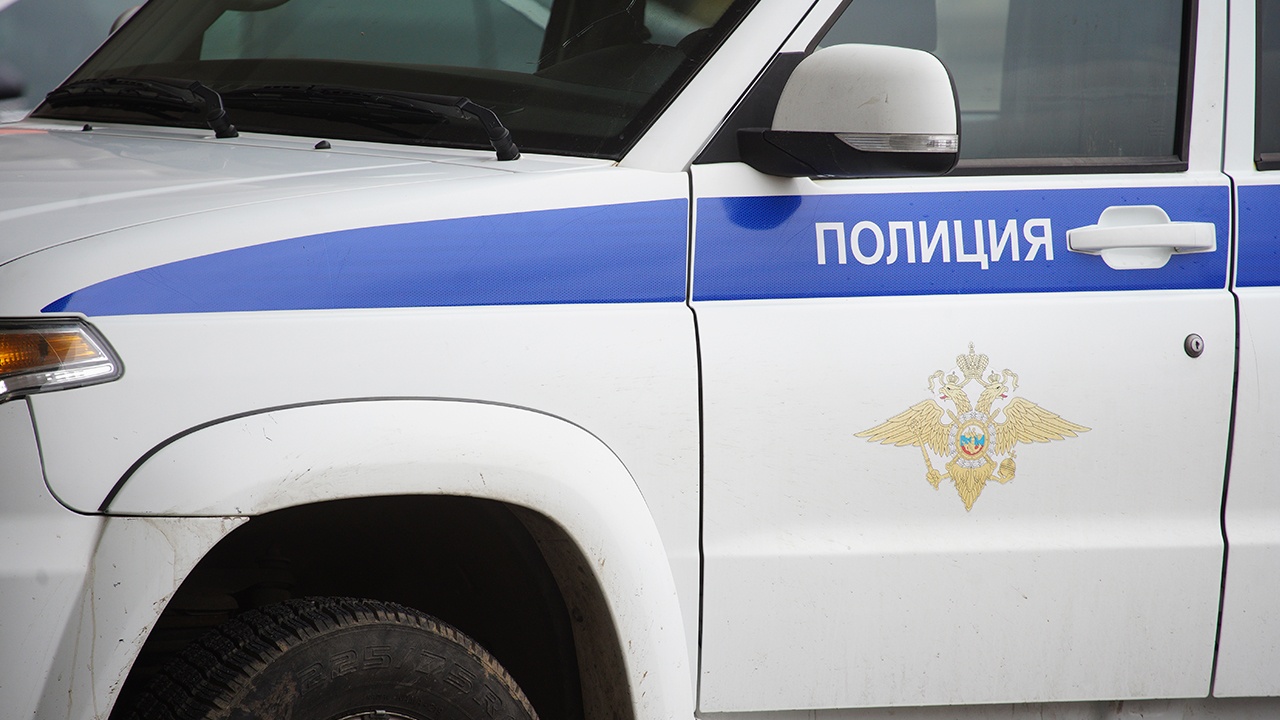 В Подмосковье задержали ранившего ножом 7-летнюю девочку