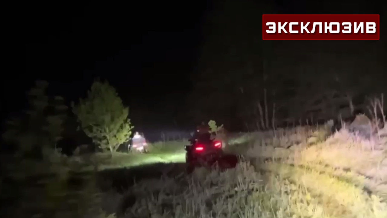 Более 200 человек участвовали в ночных поисках пропавшей в Дубне девочки