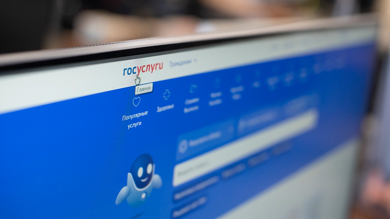 Россияне смогут пожаловаться на маркетплейсы через «Госуслуги»