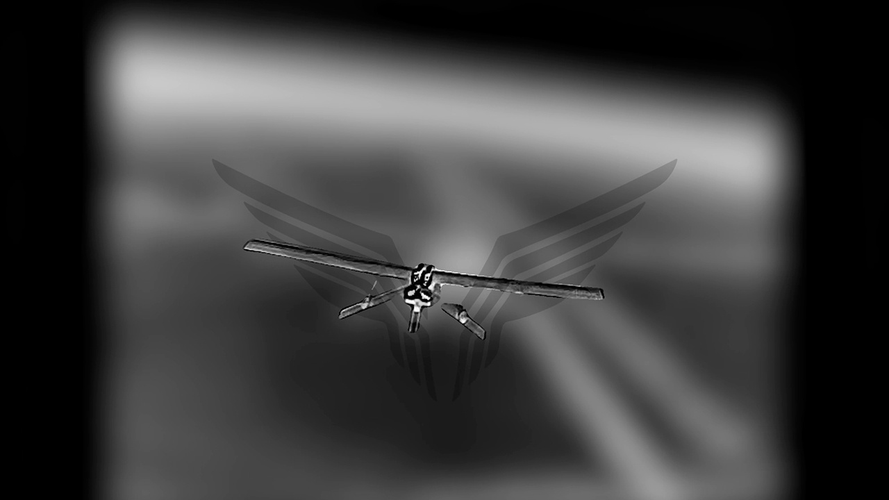 МО РФ показало перехват украинских дронов-камикадзе большой дальности
