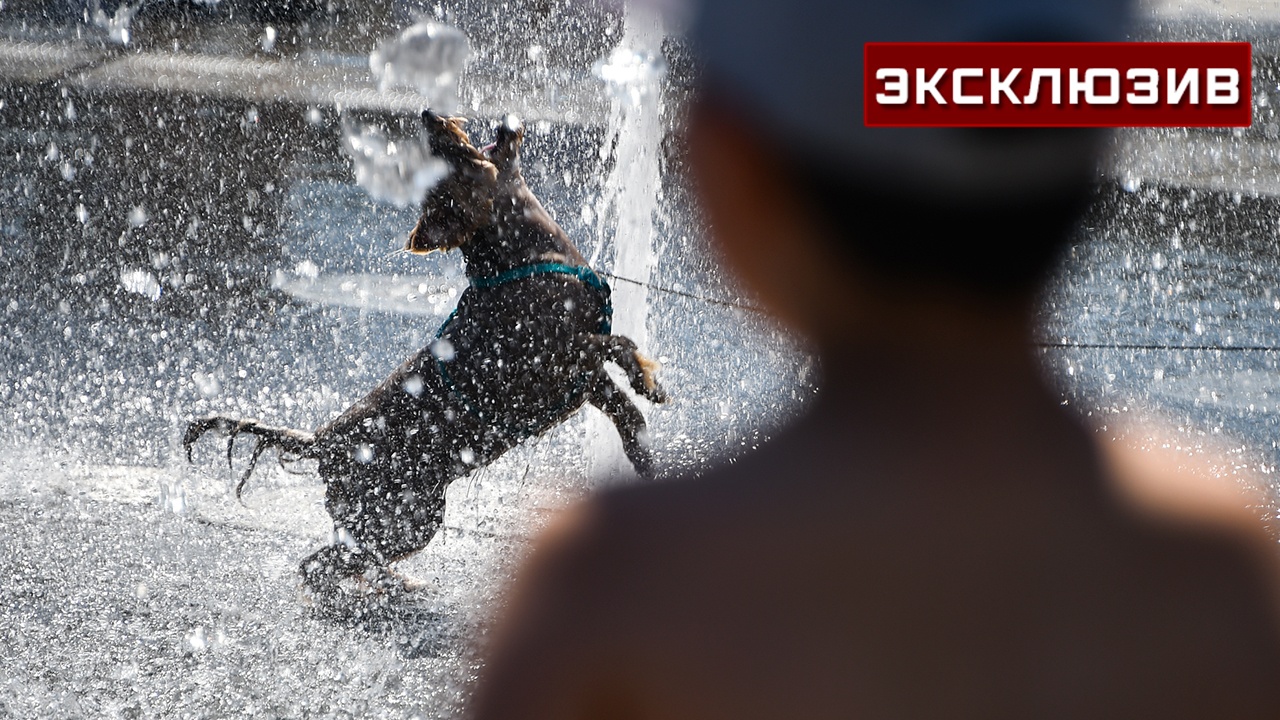 Москвичей предупредили об опасной жаре на следующей неделе