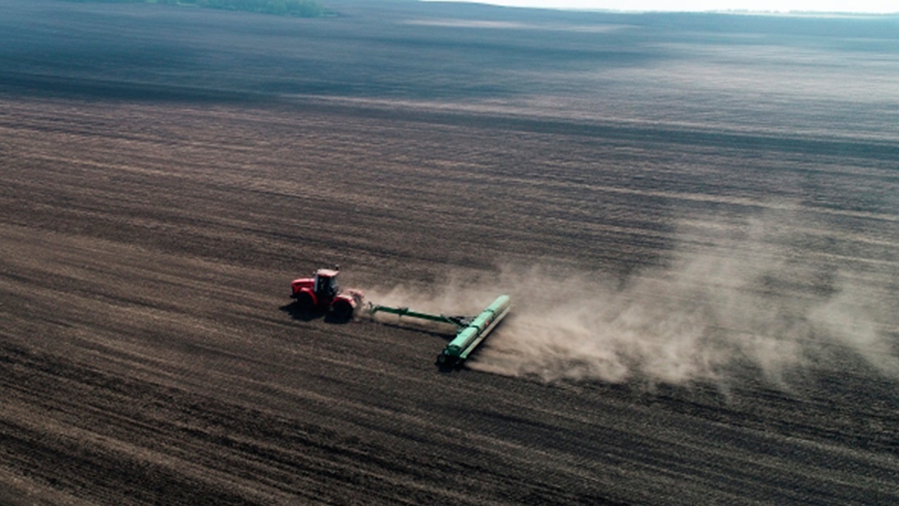 В Казахстане планируют запретить импорт пшеницы на полгода 