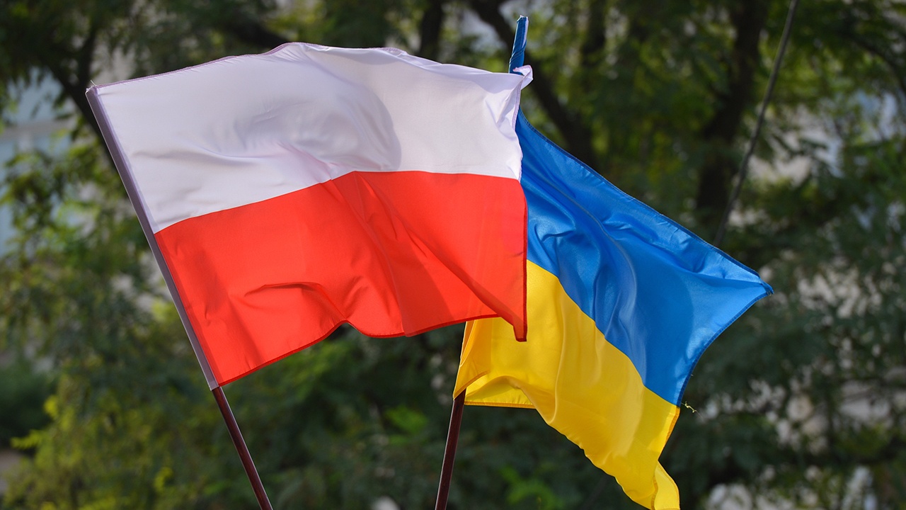 Навроцкий: Украина превысила «болевой порог» Польши