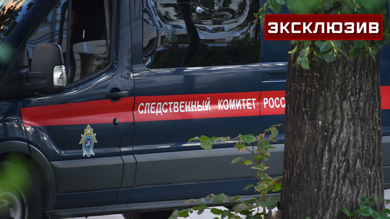 Бастрыкин назвал число сотрудников СК на новых территориях