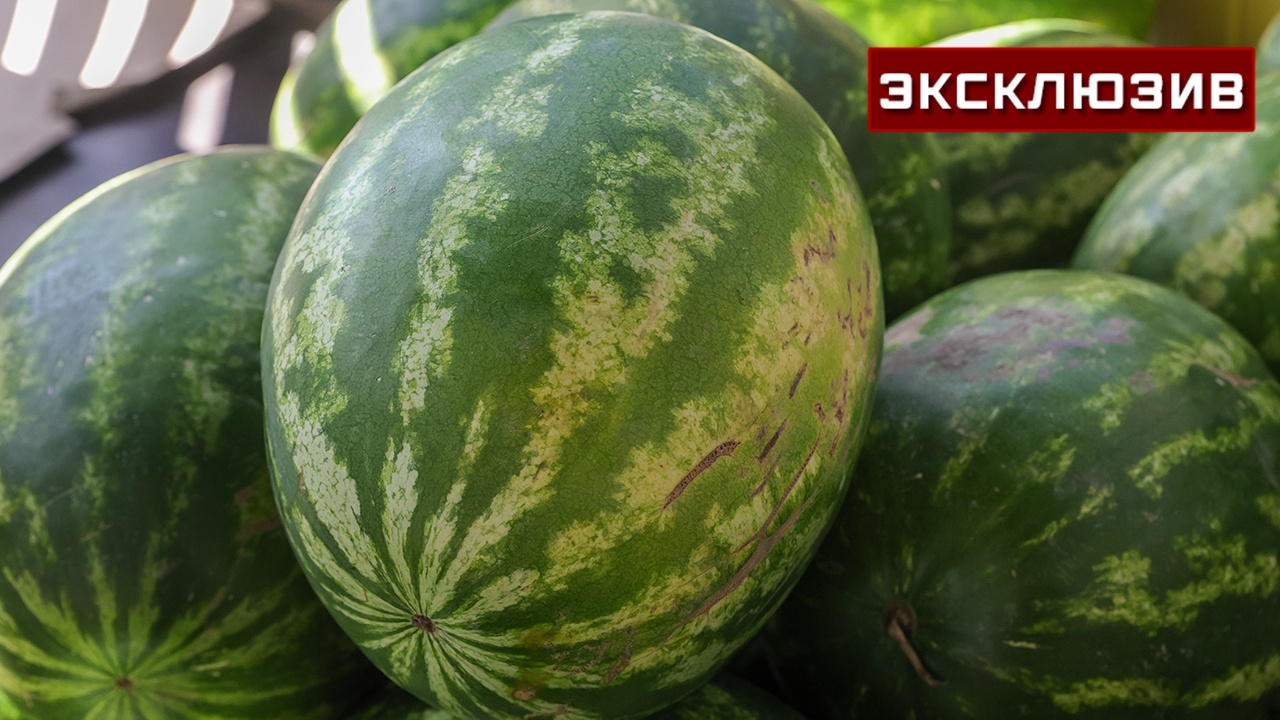 Не для детей и беременных: эксперт напомнила об опасности ранних арбузов