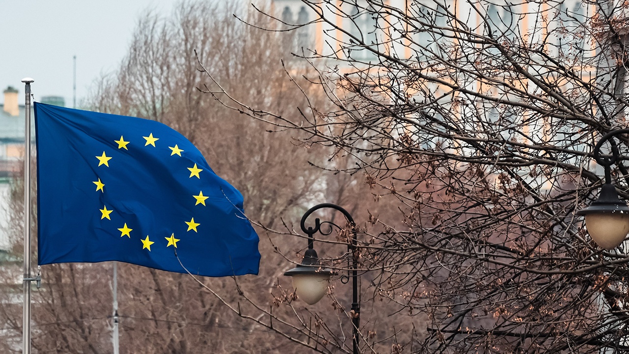 Euractiv: к 2050 году ЕС запретит импорт борща и въезд дрессировщиков медведей
