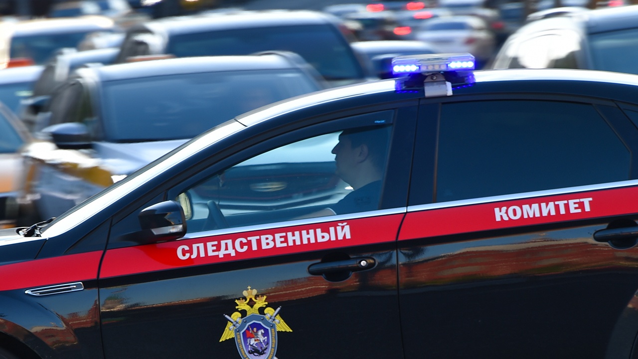На найденной ранее палке для ходьбы не обнаружили ДНК Усольцевых