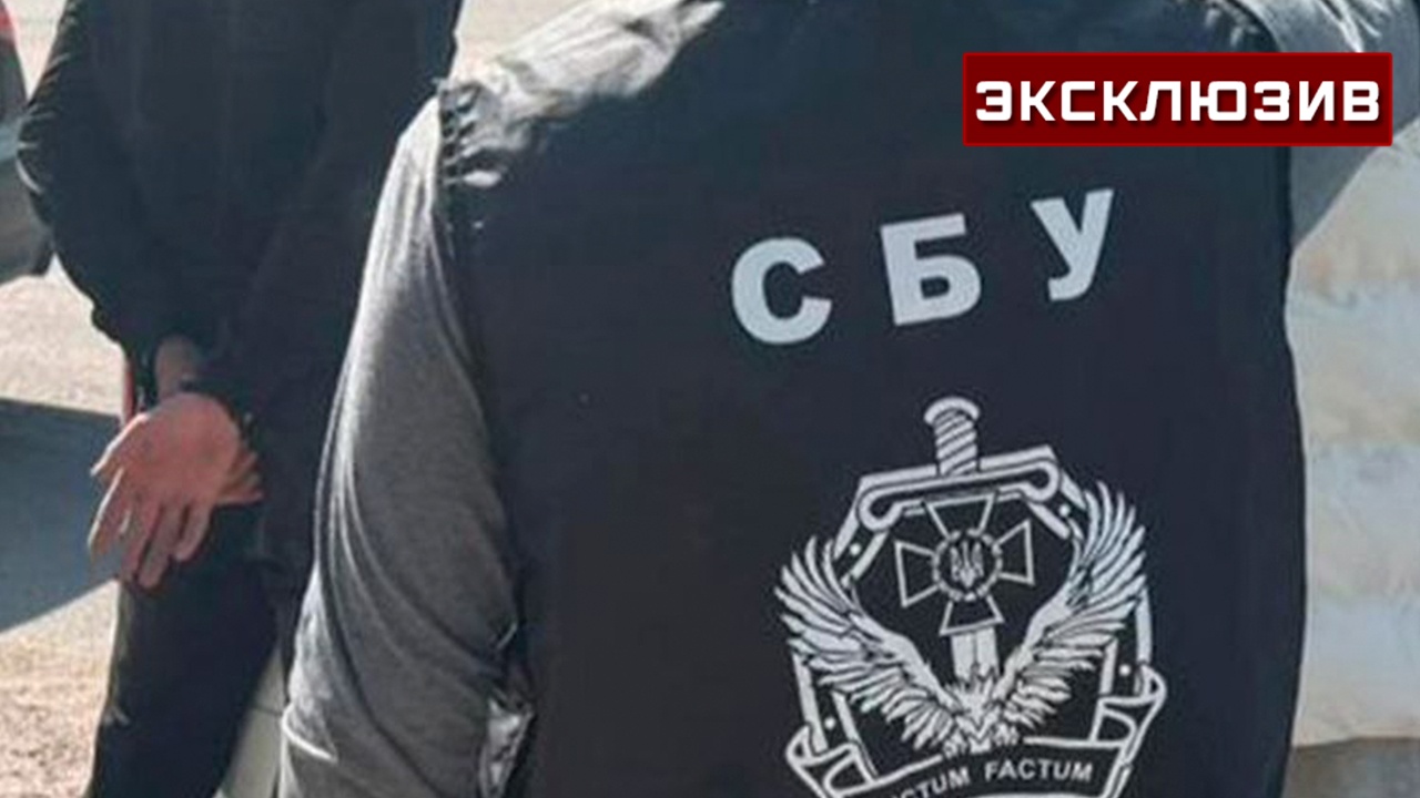 Царев: СБУ представит дело Березовской «эксцессом рядовых сотрудников»