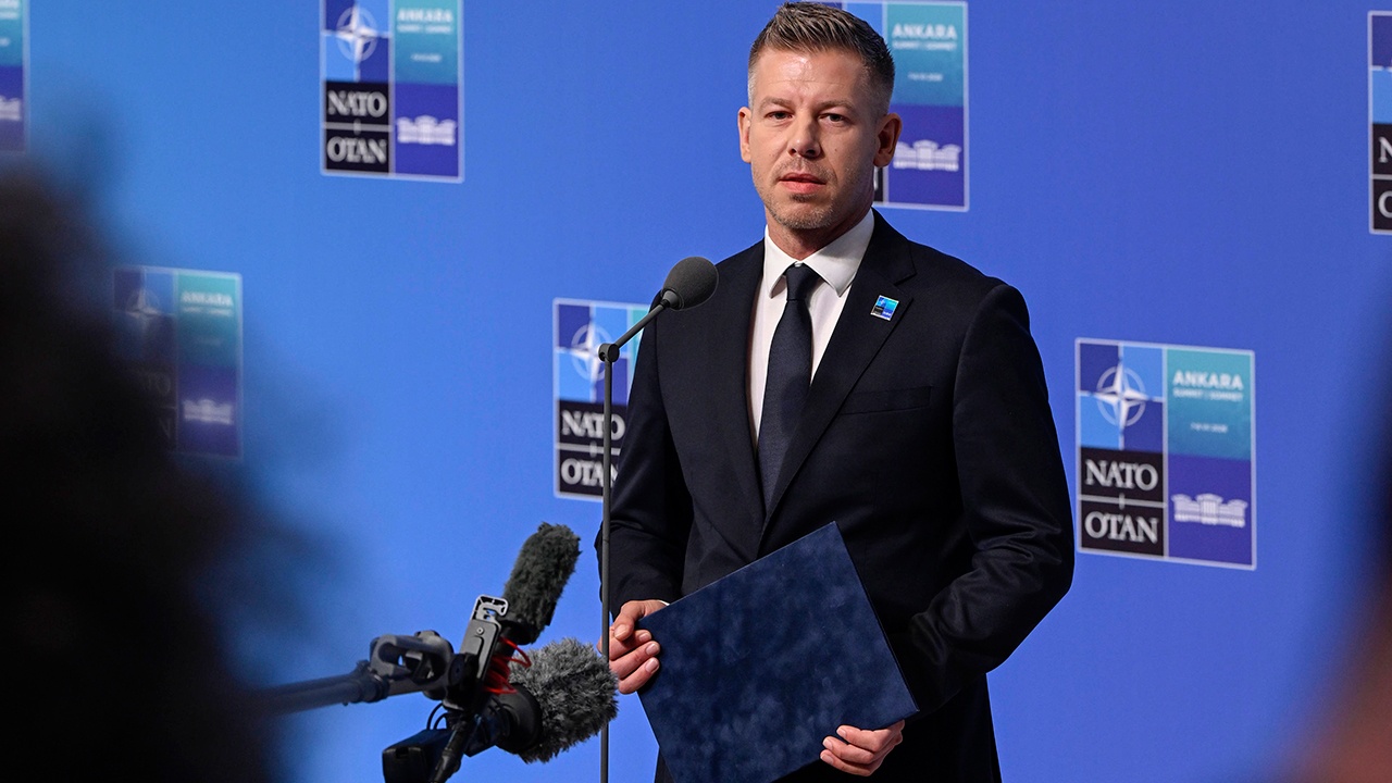 Мадьяр заявил об отказе поставлять оружие на Украину