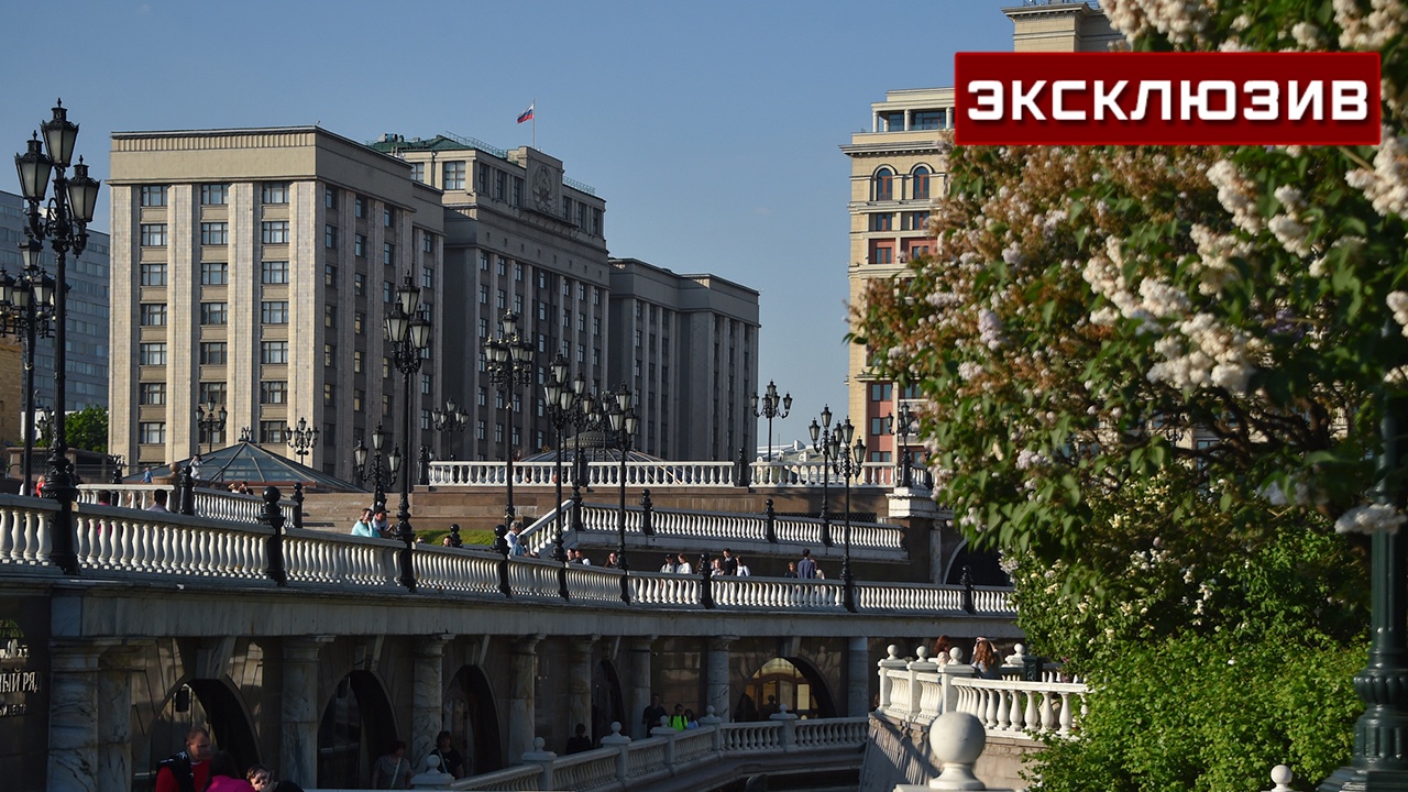 В Госдуме объяснили, как закон о релокантах обеспечит безопасность РФ