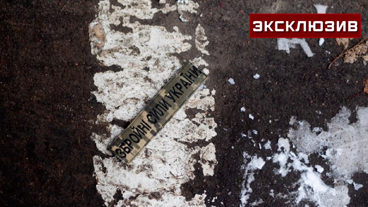 Экс-нардеп Украины: никакой альтернативы насильственной мобилизации у Киева нет