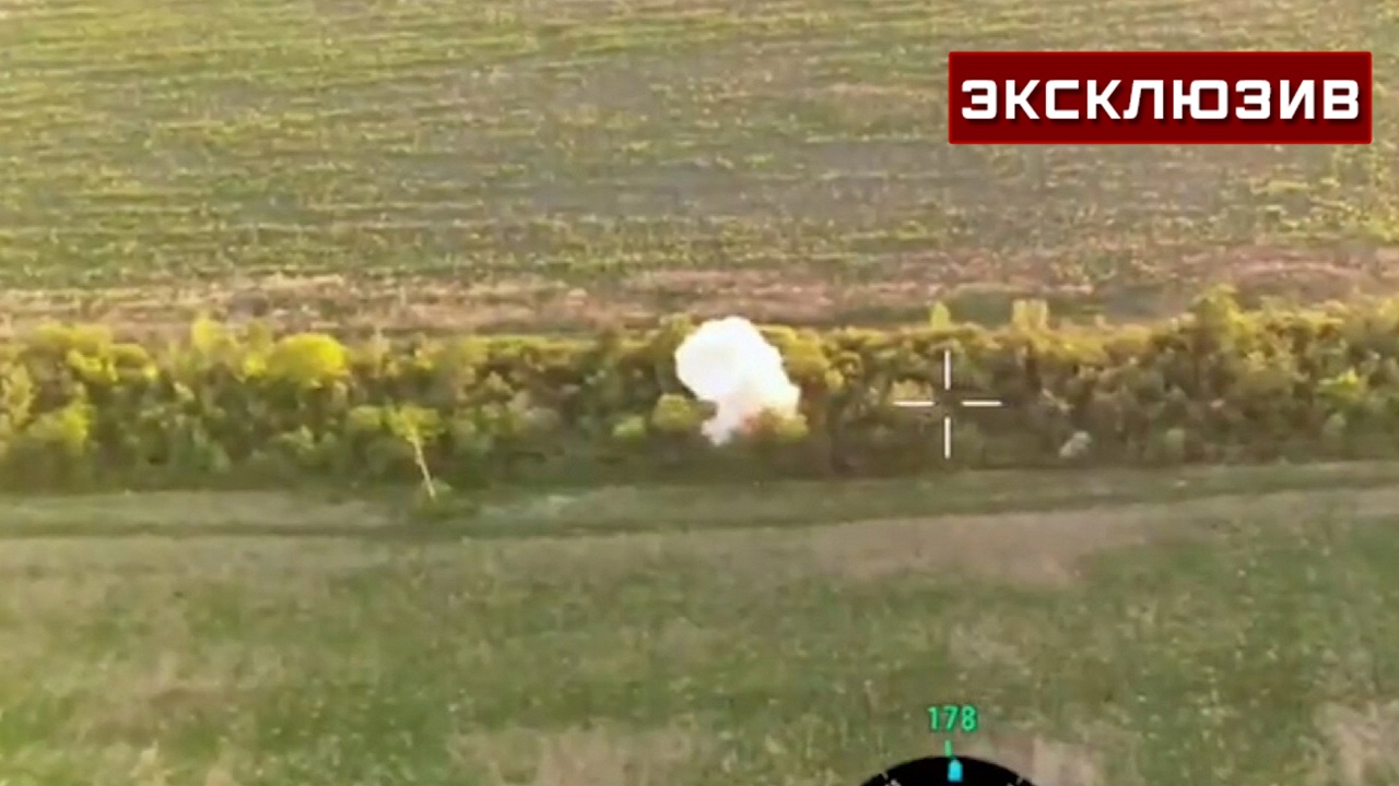 «Тюльпан» стер в пыль опорник ВСУ реактивной миной