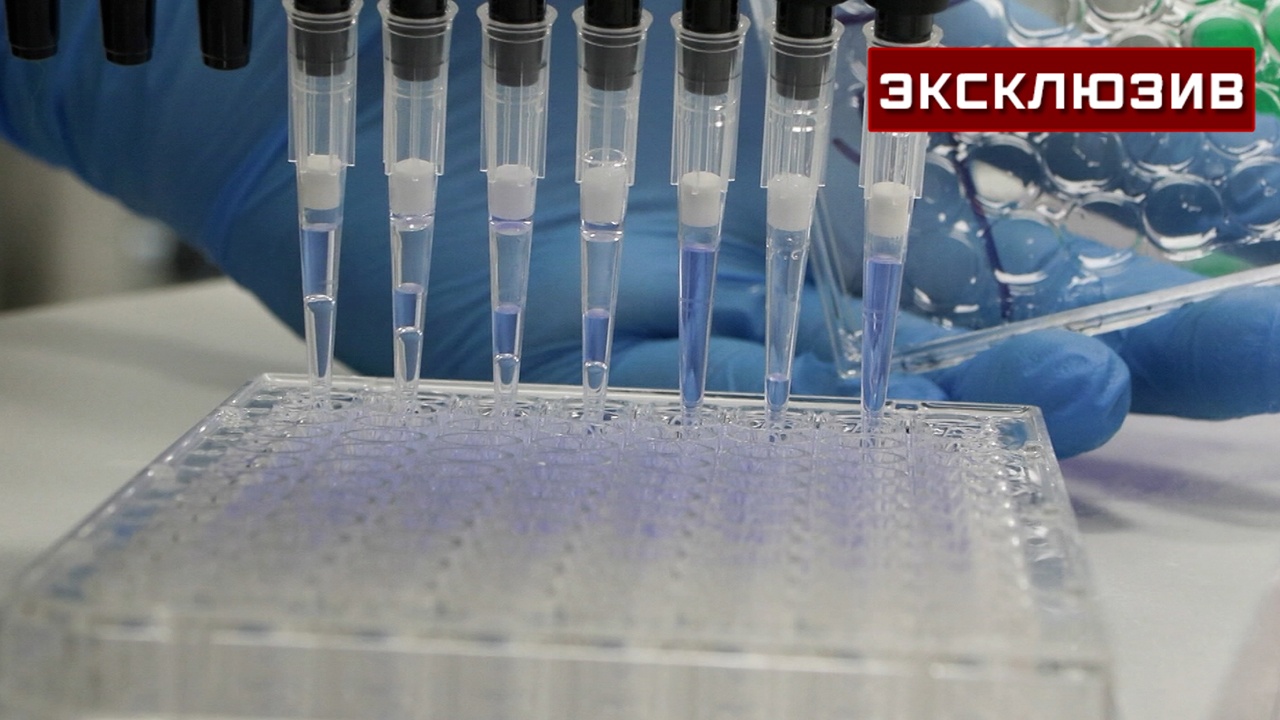 В РУДН раскрыли механизм экспериментального способа лечения рака легких