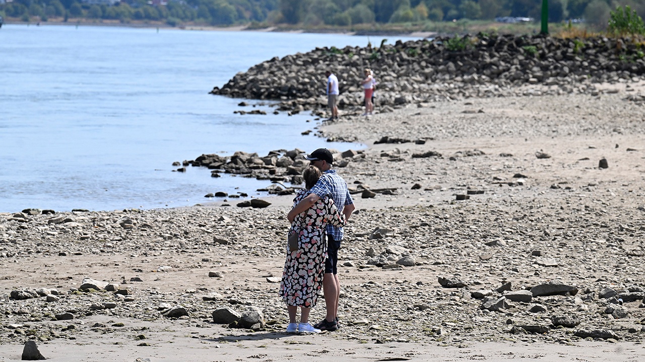 Германия столкнулась с рекордным падением уровня воды в Рейне
