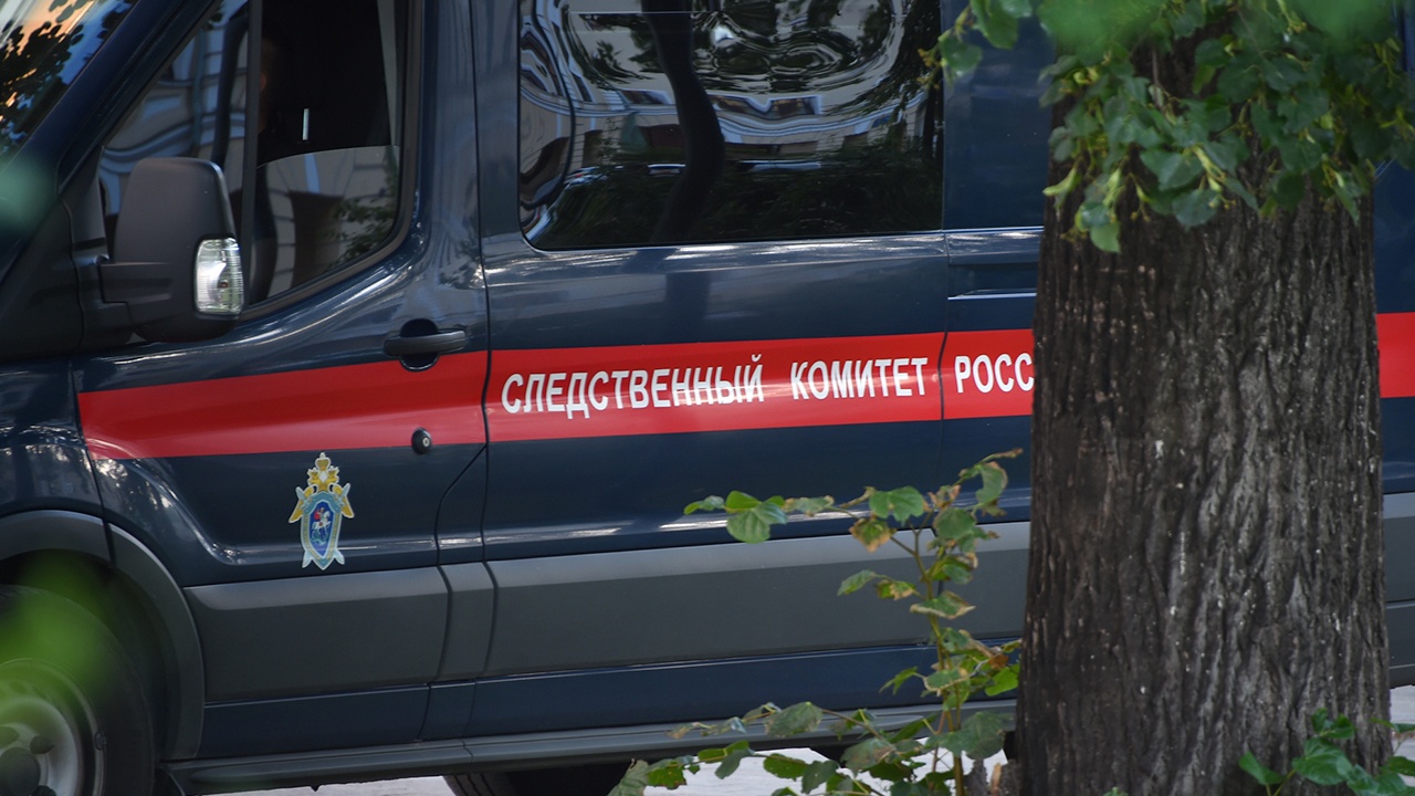 Следователи назвали две версии исчезновения семьи Усольцевых