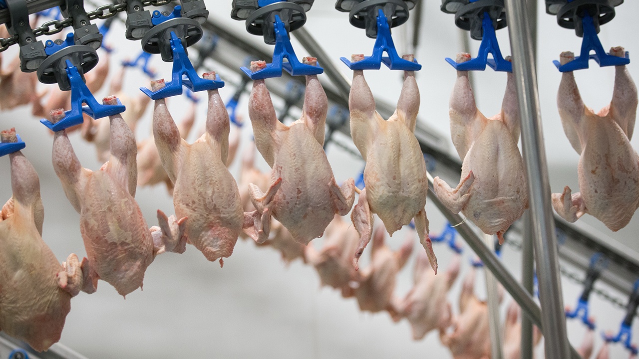 Россия ограничила транзит мяса птицы из ЕС