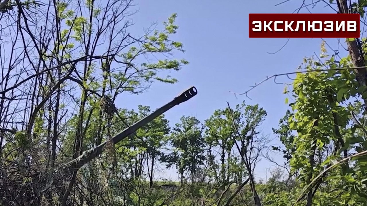 «Мста-С» пережила налет десятков дронов ВСУ под Добропольем