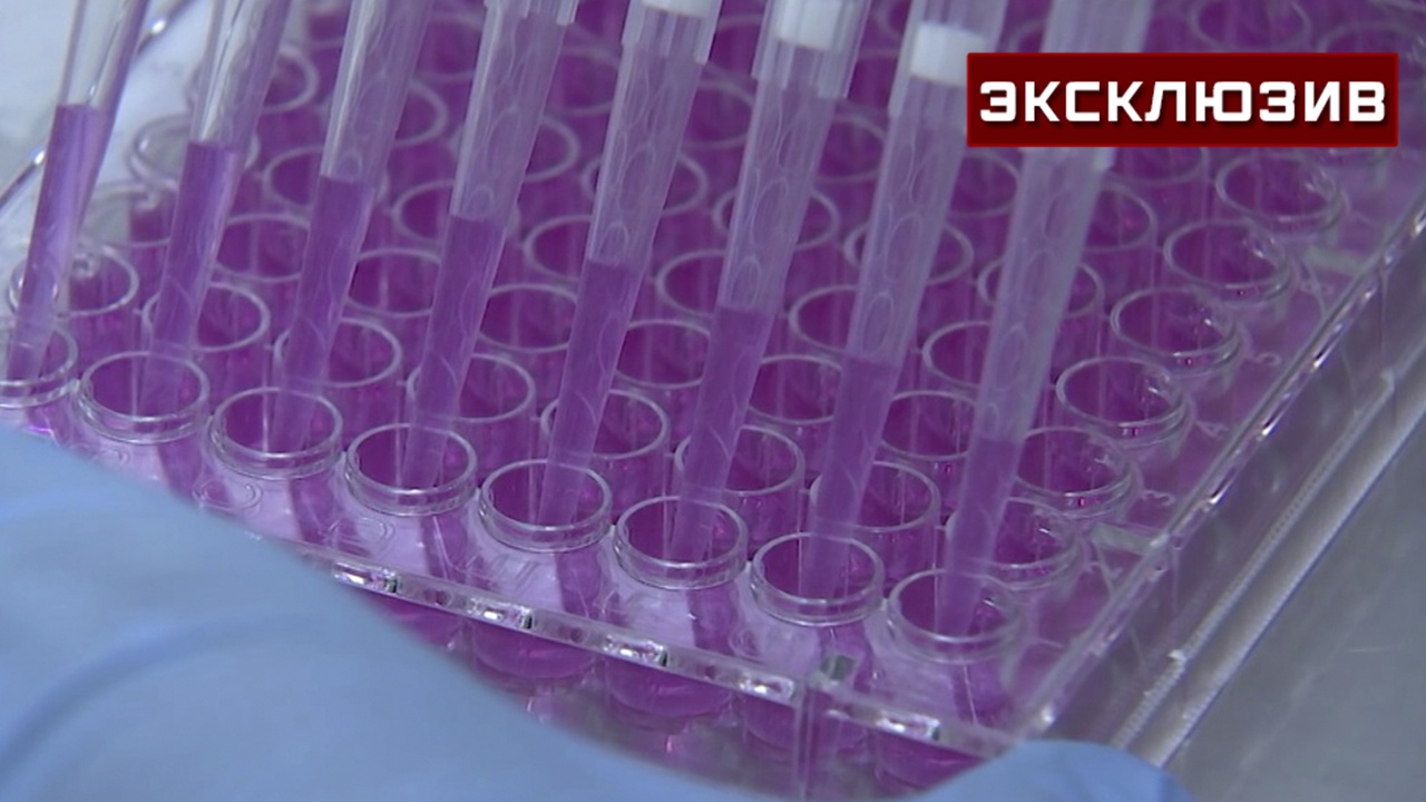 Ученые Севастополя создали способ доставлять лекарство прямо в раковые клетки