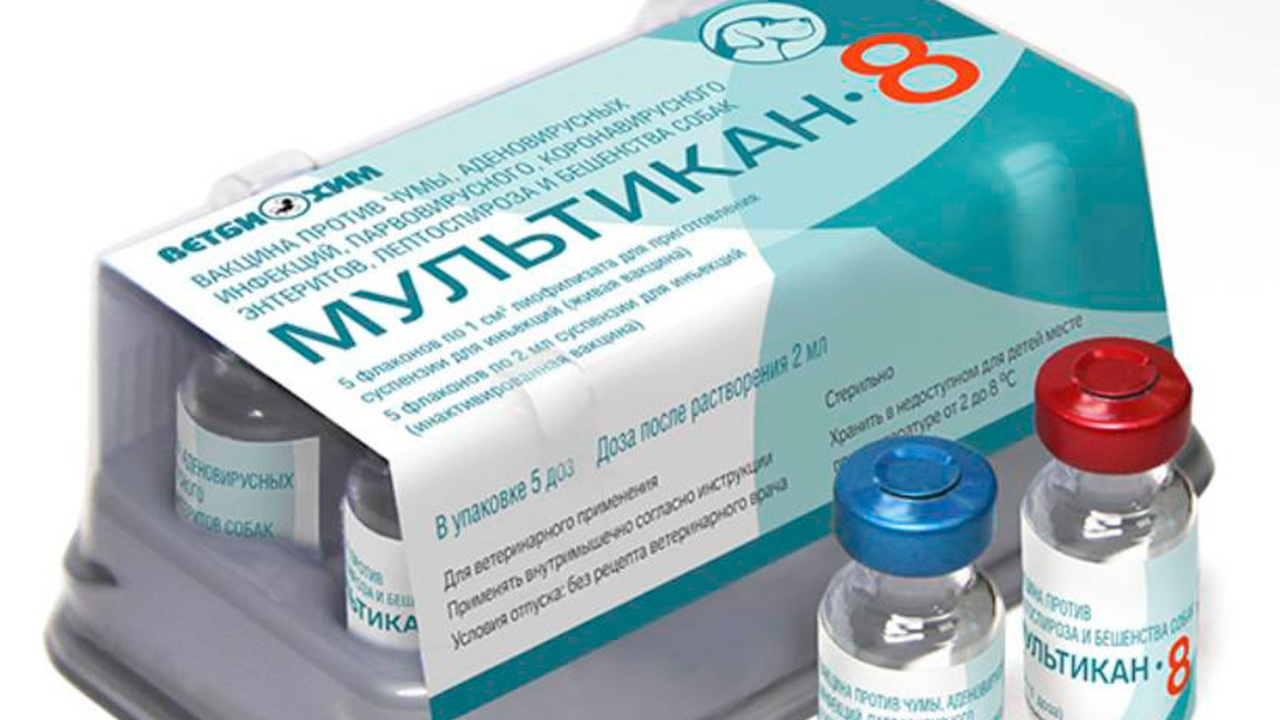 Производитель отозвал серию вакцины «Мультикан-8» после гибели собак